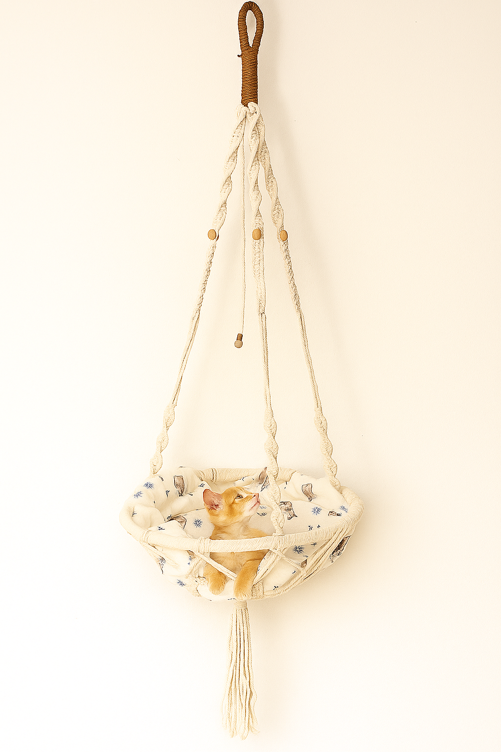 20250801_1937_Kitten in Hammock_remix_01k1jz7wd9fjqvkbtrn9hkajh0 Single Layer Cat Macrame Hammock - Image 1