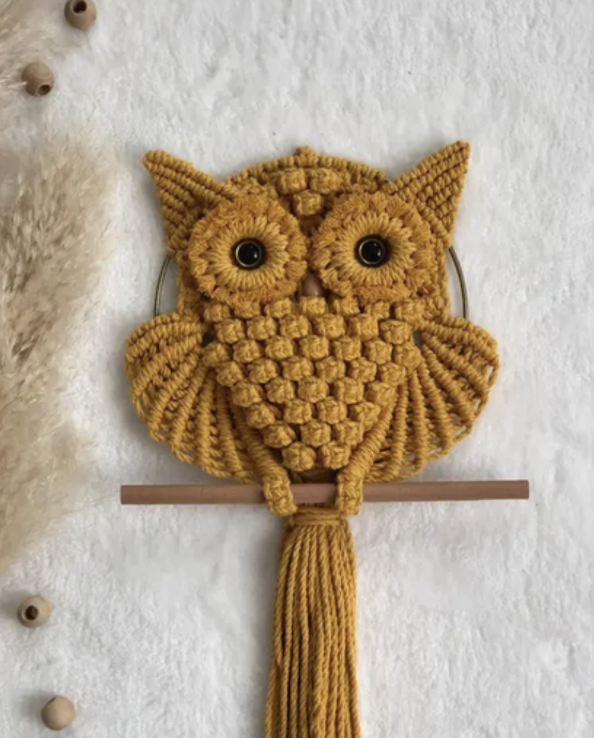 New Project (4) Handmade Macrame Owl Wall Hanging - Image 1