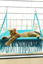 Window/Wall Mounted Macrame Perch - 2